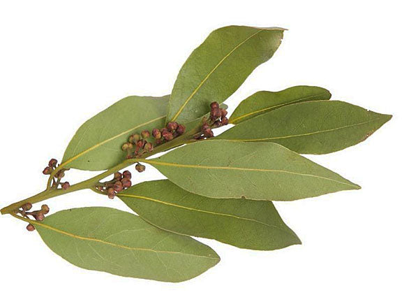 BURN BAY LEAVES TO RELAX & SLEEP BETTER